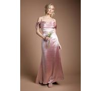 Coast Women's High Gloss Drape Cowl Bridesmaid Maxi Dress in Blush | Size: 18 Coast Blush 18