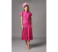 Coast Women's Lace Frill Sleeve High Neck Midi Dress in Pink | Size: 10 Coast Pink 10