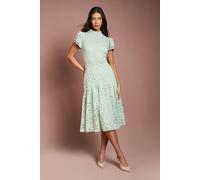 Coast Women's Lace Frill Sleeve High Neck Midi Dress in Sage | Size: 12
