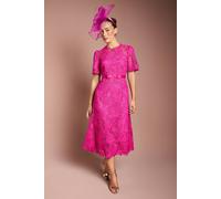 Coast Lace Midi Dress with Bow Belt, 18, Berry