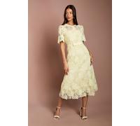 Coast Lace Midi Dress with Bow Belt, 10, Lemon