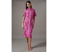 Coast Women's Lace Pearl Button Pencil Skirt in Pink | Size: 10 Coast Pink 10