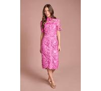Coast Women's Lace Pearl Button Pencil Skirt in Pink | Size: 16
