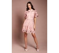 Coast Women's Lace Shirt Mini Belted Dress in Blush | Size: 10