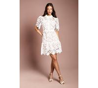 Coast Women's Lace Shirt Mini Belted Dress in Ivory | Size: 14
