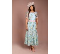 Coast Women's Lace Trim Detail Embroidered Mesh Midi Dress in Yellow | Size: 18