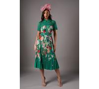 Coast Women's Lisa Tan Lace Pleated Printed Midi Dress in Green | Size: 8 Coast Green 8