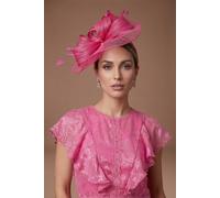 Coast Women's Loop & Feather Detail Fascinator in Berry