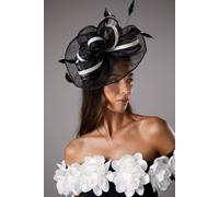 Coast Women's Loop & Feather Detail Fascinator in Mono Coast Mono One Size