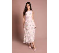 Coast Women's Muse Racer Neck Embroidered Mesh Midi Dress in Pink | Size: 16