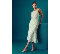 Coast Women's Muse Textured Sleeveless Midi Dress in Sage | Size: 10 Coast Sage 10