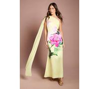Coast Women's One Shoulder Placement Print Chiffon Maxi Dress in Yellow | Size: 10