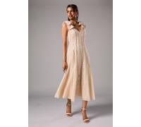 Coast Women's Petite Bow Shoulder Embellished Midi Dress in Champagne | Size: 12 Coast Champagne 12