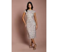 Coast Women's Petite Cap Sleeve Pearl Embellished Pencil Dress in Blush | Size: 10 Coast Blush 10