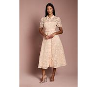 Coast Women's Petite Floral Lace Collared Midi Dress in Nude | Size: 18