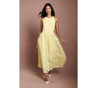 Coast Women's Petite Halterneck Lace Midi Dress in Butter | Size: 4