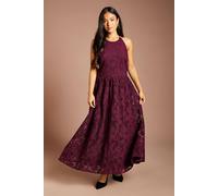 Coast Women's Petite Halterneck Lace Midi Dress in Fig | Size: 14 Coast Fig 14