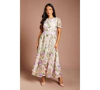 Coast Women's Petite Lace Trim Detail Embroidered Mesh Midi Dress in Blush | Size: 4