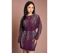 Coast Women's Petite Long Sleeve Placement Feather Embellished Mini Dress in Red | Size: 10 Coast Red 10