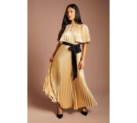 Coast Women's Petite Muse Pleated Cape Detail Metallic Maxi Dress With Tie in Champagne | Size: 12