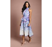 Coast Women's Petite Placement Print Organza Halterneck Midi Dress in Ivory | Size: 16