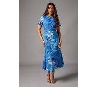 Petite Printed Lace Midi Pencil Dress Coast Blue 8