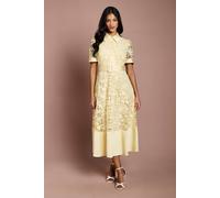 Coast Women's Petite Satin Trim Lace Shirt Midi Dress in Lemon | Size: 16