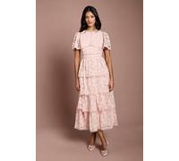 Coast Women's Petite Tiered Lace Dress With Flutter Sleeve & Trims in Blush | Size: 10 Coast Blush 10