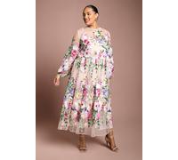 Coast Women's Plus Muse Long Sleeve Embroidered Maxi Dress in Peach | Size: 22 Coast Peach 22