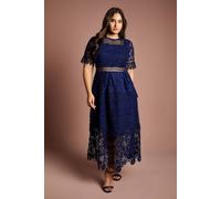 Coast Women's Plus Short Sleeve Lace Midi Dress in Navy | Size: 20 Coast Navy 20