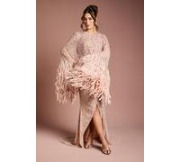 Coast Women's Sequin Embellished Feather Trim Black Tie Maxi Dress in Blush | Size: 12 Coast Blush 12