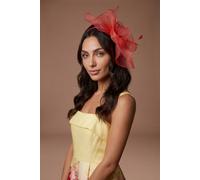 Coast Women's Structured Mesh Bow Flat Fascinator in Red Coast Red One Size