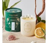 Coastal Breeze Pure Beeswax Candle Jar - 90+ Hours Long Burning Classically Designed Non-Toxic Scented Candles for Home Decor and Aromatherapy to Stress & Anxiety Relief with Natural Fragrance 15 oz