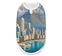 Coastal Cities Dog Shirt Quick Dry Breathable Pet T-Shirt Soft Stretchy Sleeveless Vest Dog Apparel S