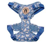 Coastal Dog Harness, Adjustable Mesh Harness for small, medium & Large Dogs, Lightweight Comfortable Harness with Front & Back D-Rings by Salt Dog Studios (Seagull, Large)