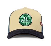 Coastal Hft Tiny Waves Trucker Cap Khaki/Grey Baseball Mesh New