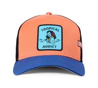 Coastal Hft Tropical Addict Trucker Cap Apricot/Blue Baseball Mesh New