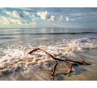 Coastal Landscapes