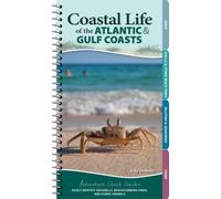 Coastal Life of the Atlantic and Gulf Coasts : Easily Identify Seashells, Beachcoming Finds, and Iconic Animals