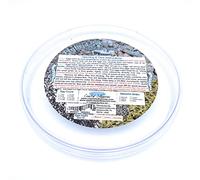 Coastal Silkworms 1,000 Count Live Silkworm Eggs Bombyx Mori (Pack of 1)