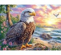Coastal Sunset Bald Eagle 500 Piece Complete Jigsaw Puzzle Set Dreamy Scenic Fauna Teens Beginners Educational Challenge Puzzle Fans Group Play Anniversary Fathers Thick Cardboard 500 PCS