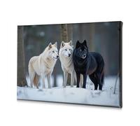 Coastal Wall Art Three Wolves Standing In The Snow. Canvas Decorative Picture Picture Hanging Kit The Chosen(40x60cm)