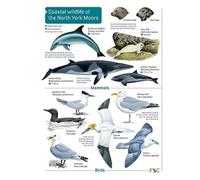 North York Moors Coasts (WildID)