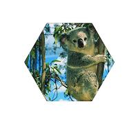 Coasters for Drinks Set of 6 Absorbent Ceramic Coasters with Cork Base Bear Koala Print Cup Coaster