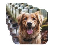 Coasters Set of 4 Round Leather Coaster Quick-Dry Drink Funny Golden Retriever Coasters for Desk Absorbent Mugs Pads Tabletop Protection Pad Heat Resistant Coffee Cup Mat for Kitchen Bar