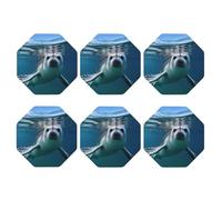 Coasters Set of 6 Leather Drink Coaster Harp Seal Wallpaper Coaster for Drinks Non-Slip Mugs Pads Waterproof Funny Coasters Coffee Cup Mat for Table Kitchen