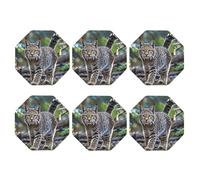 Coasters Set of 6 Leather Drink Coaster Wild bobcat Coaster for Drinks Non-Slip Mugs Pads Waterproof Funny Coasters Coffee Cup Mat for Table Kitchen