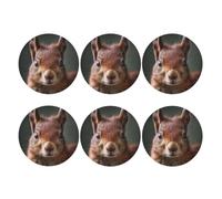 Coasters Set of 6 Waterproof Non-Slip Leather Drink Coasters Round Mug Mat Cute Red Squirrel Coasters for Drinks Tabletop Protection Cup Pad for Coffee Table Bar Home Decor