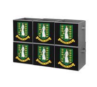 Coat Arms of Virgin Islands Foldable Open Storage Bins with Handles Cute Cube Organiser Box for Book Clothing