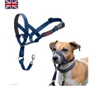Cobalt Blue Safety Headcollar for Small Dogs - Humane Anti-Pull Solution